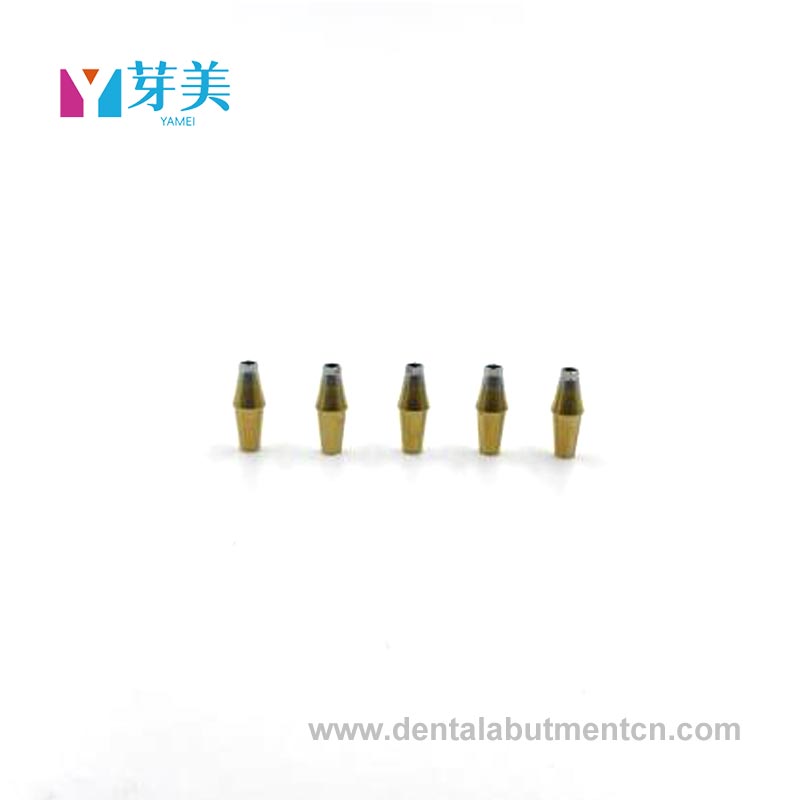 Why Are Prosthetic Abutments Transforming the Future of Dental Implant Stability?