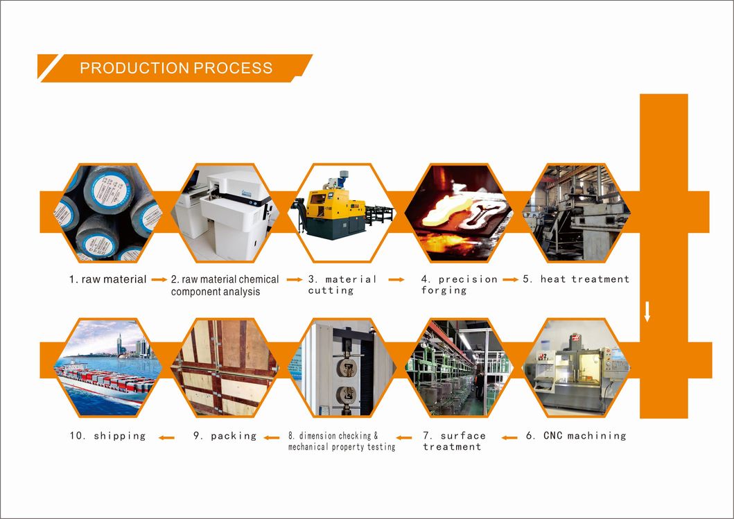 Hot Forging/Plier Forgings/OEM/CRV Steel