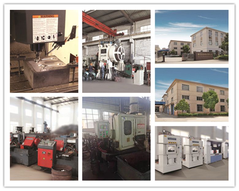 Hot Forging/Plier Forgings/OEM/CRV Steel